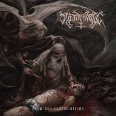 METAPHOBIC - Deranged Excruciations (2025) CD